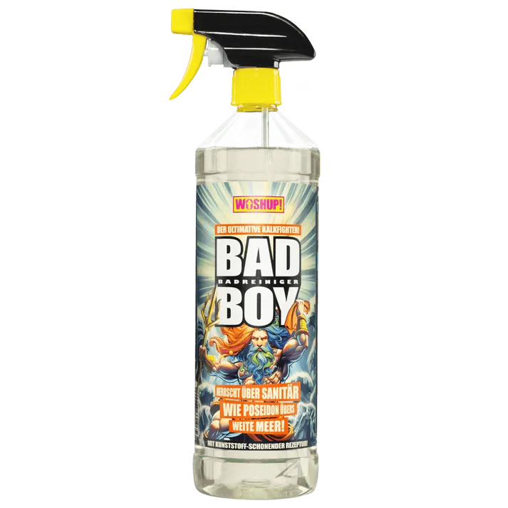 Bad Boy